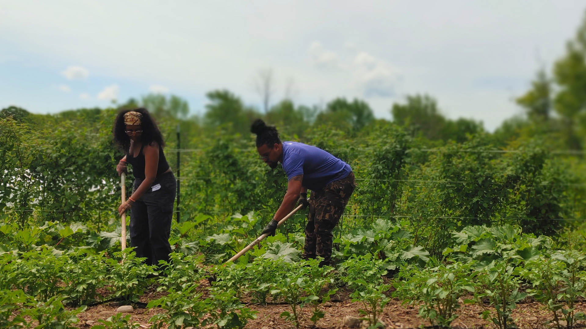 Real ingredients should be accessible to all: Soul Fire Farms