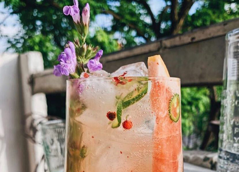 Spicy Grapefruit Sage Gin & Tonic Recipe