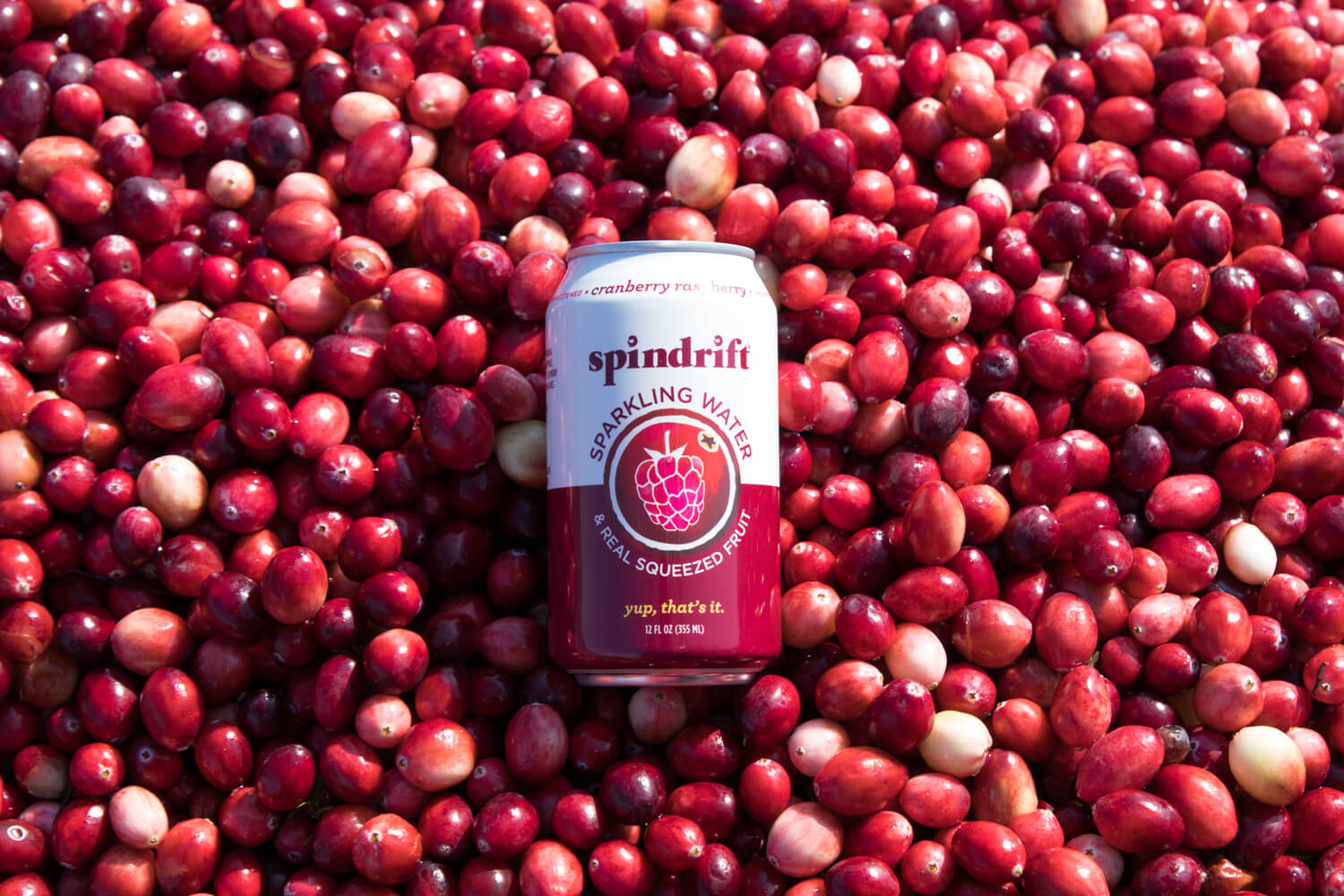 Real Fruit Flavor: Cranberry Raspberry | Spindrift