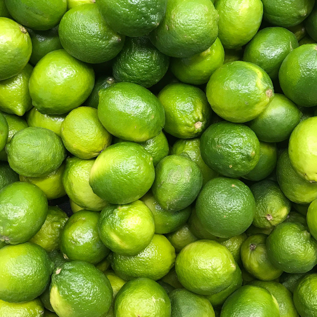 Limes Fruit - Zesty and Citrusy